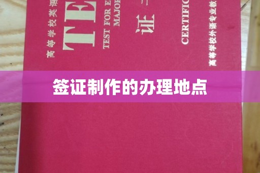 政和签证制作的办理地点