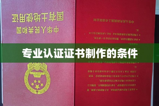 政和专业认证证书制作的条件