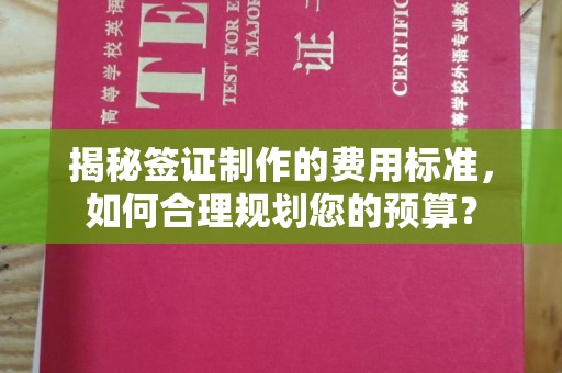 政和揭秘签证制作的费用标准，如何合理规划您的预算？
