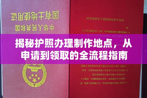 政和揭秘护照办理制作地点，从申请到领取的全流程指南