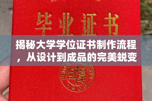 政和揭秘大学学位证书制作流程，从设计到成品的完美蜕变