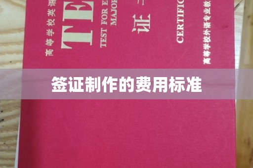 政和签证制作的费用标准