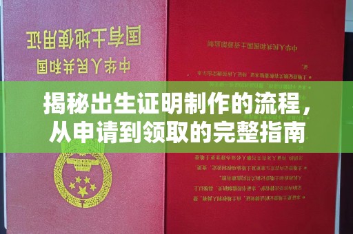 政和揭秘出生证明制作的流程，从申请到领取的完整指南