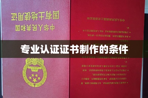 政和专业认证证书制作的条件